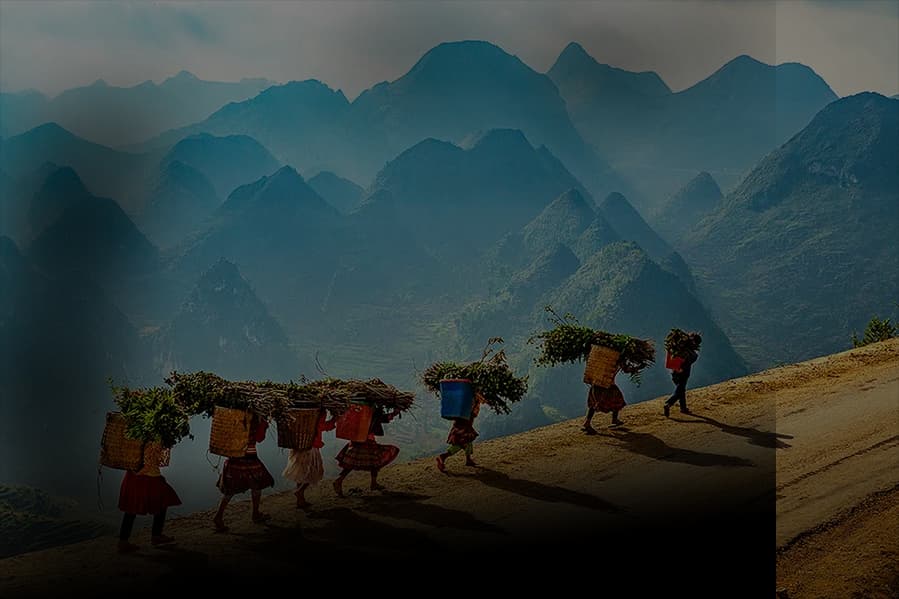 Terraced rice fields in Ha Giang